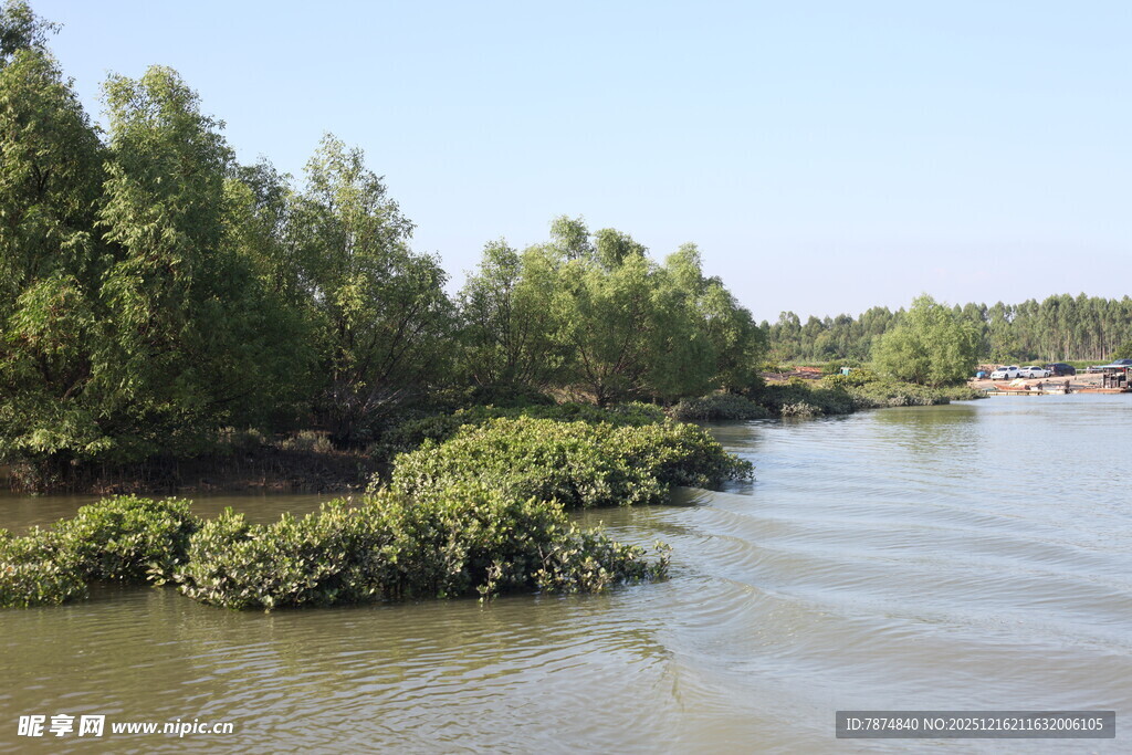 河畔绿树成荫的自然景观