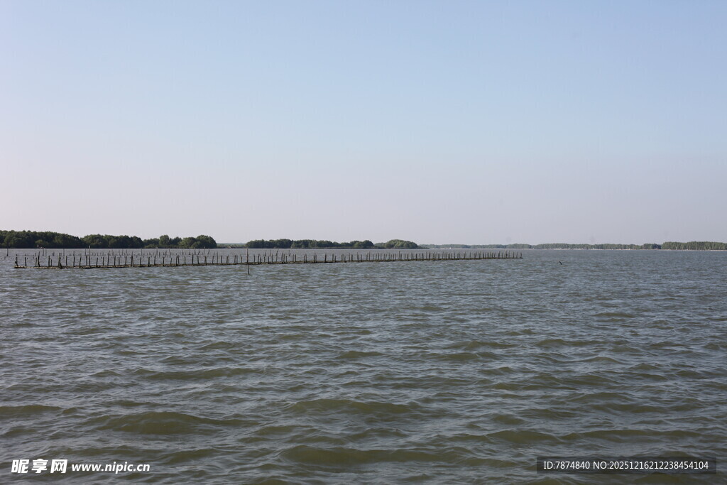 广阔水域与远处岸景