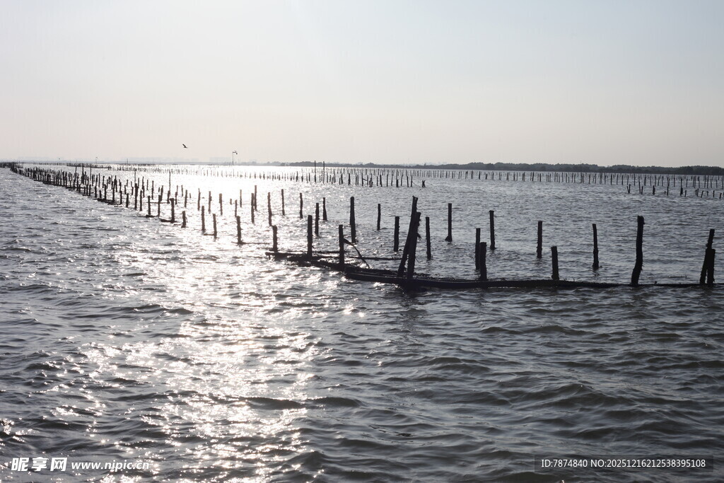 海边木桩延伸于波光水面