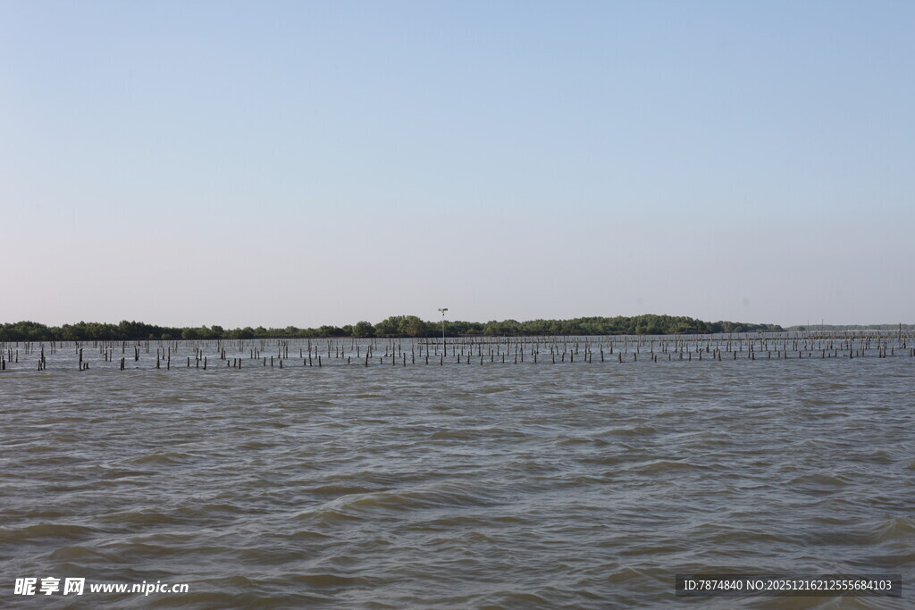 广阔水域与远处岸景