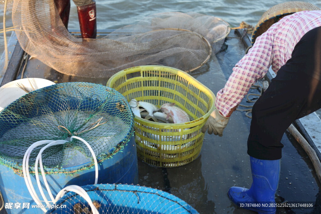渔民码头分拣收获的海货