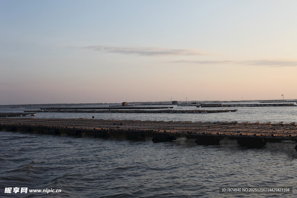 黄昏下的宁静水边景致