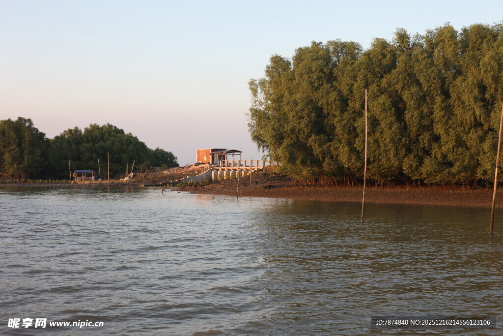 河畔绿树成荫的宁静风景