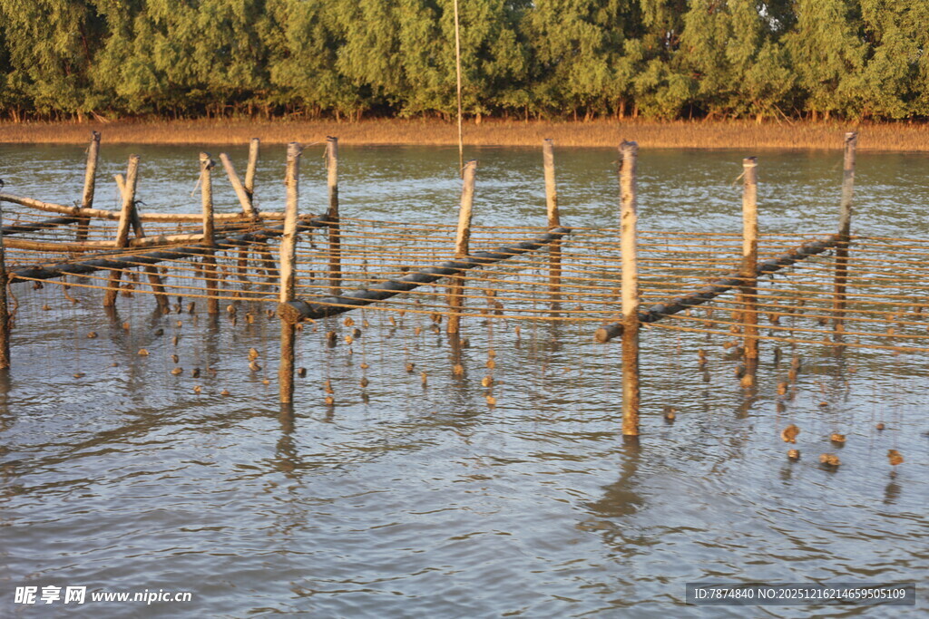 水上木桩搭建的简易设施