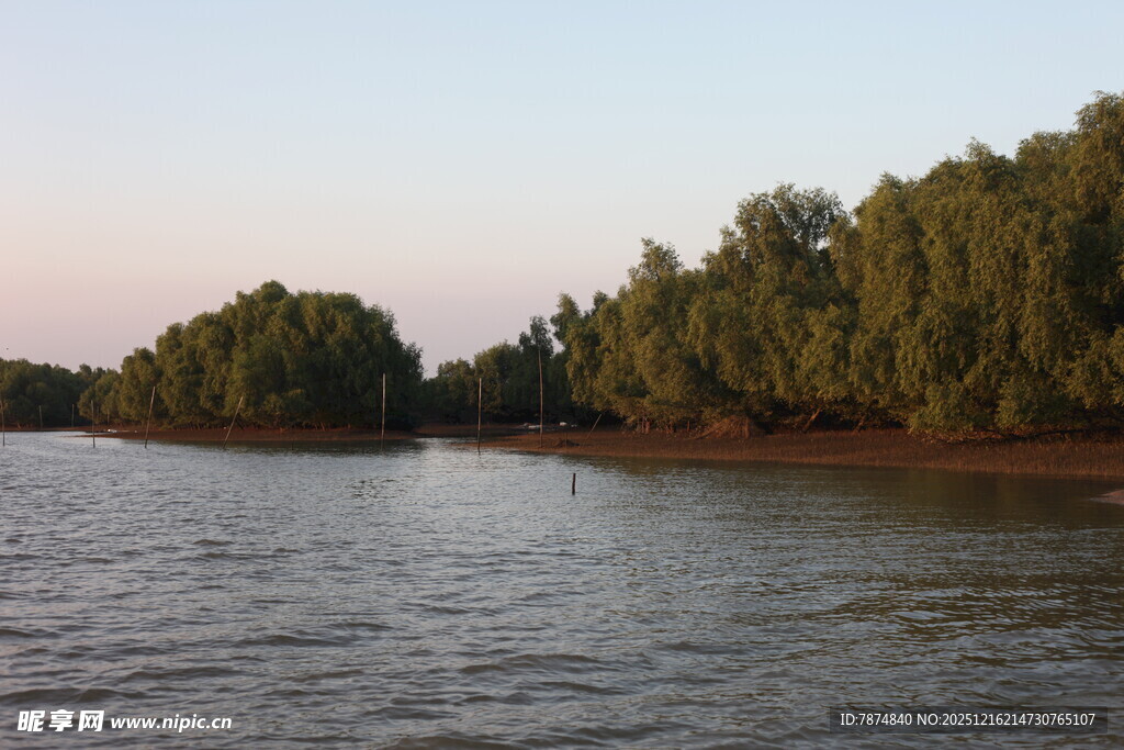 湖畔树林黄昏美景