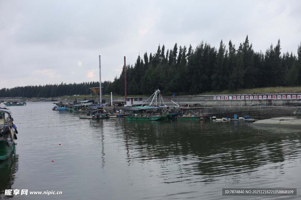 宁静港湾中的停泊船只