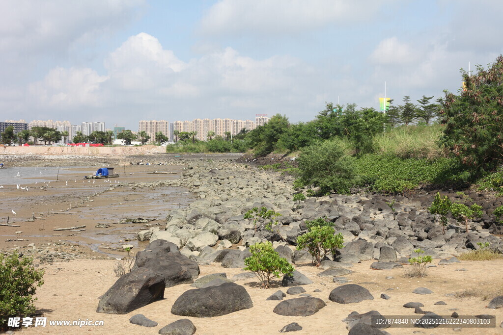 海岸边的沙石与绿植景观