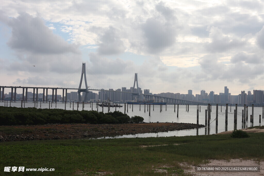 城市江边大桥风景图