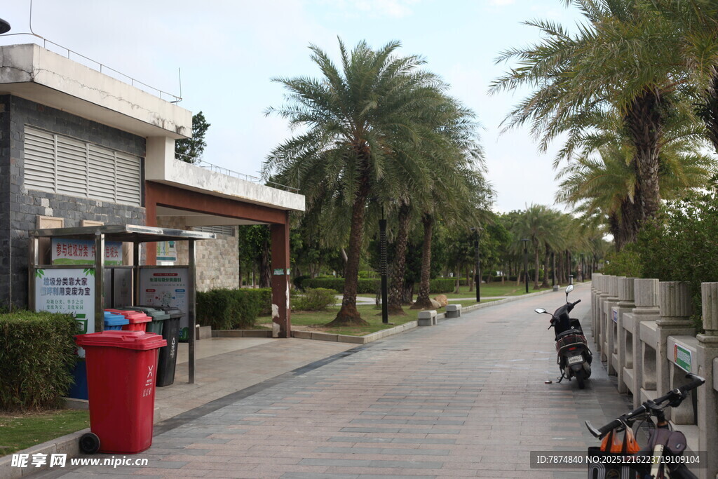 宁静街道旁的住宅与绿植