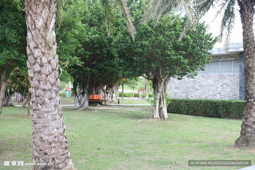 绿树成荫的户外休闲场地