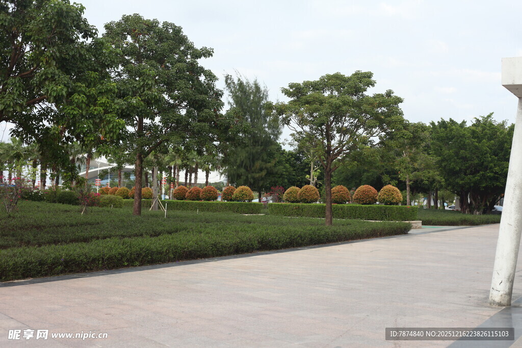 城市公园中的林荫步道