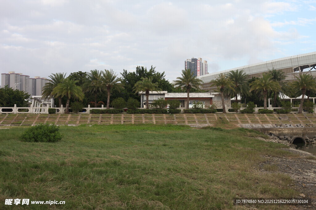 城市中开阔的草地景观