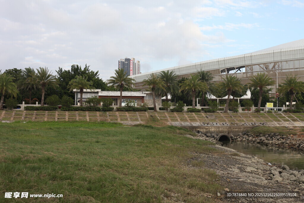 城市草地旁的建筑景观