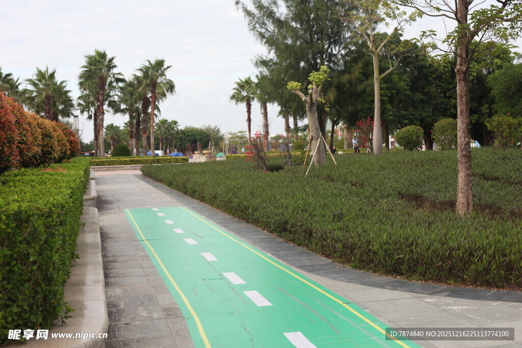 城市中的绿色骑行步道