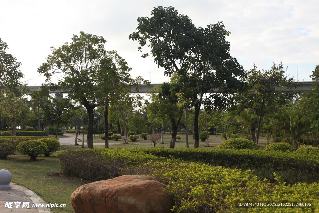 城市公园绿意盎然景观