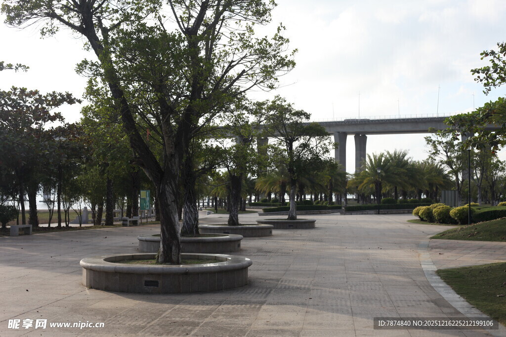 城市公园中的宁静休憩空间