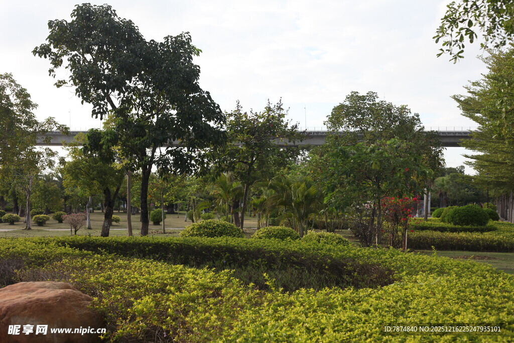 城市中的绿意景观