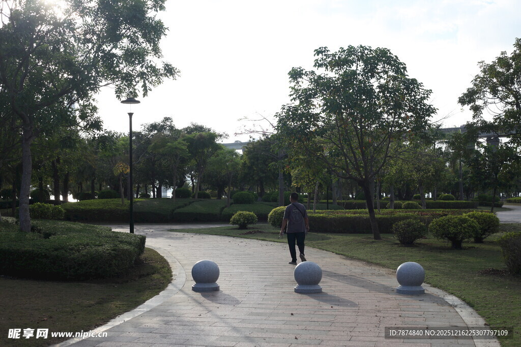 公园小径上的行人漫步