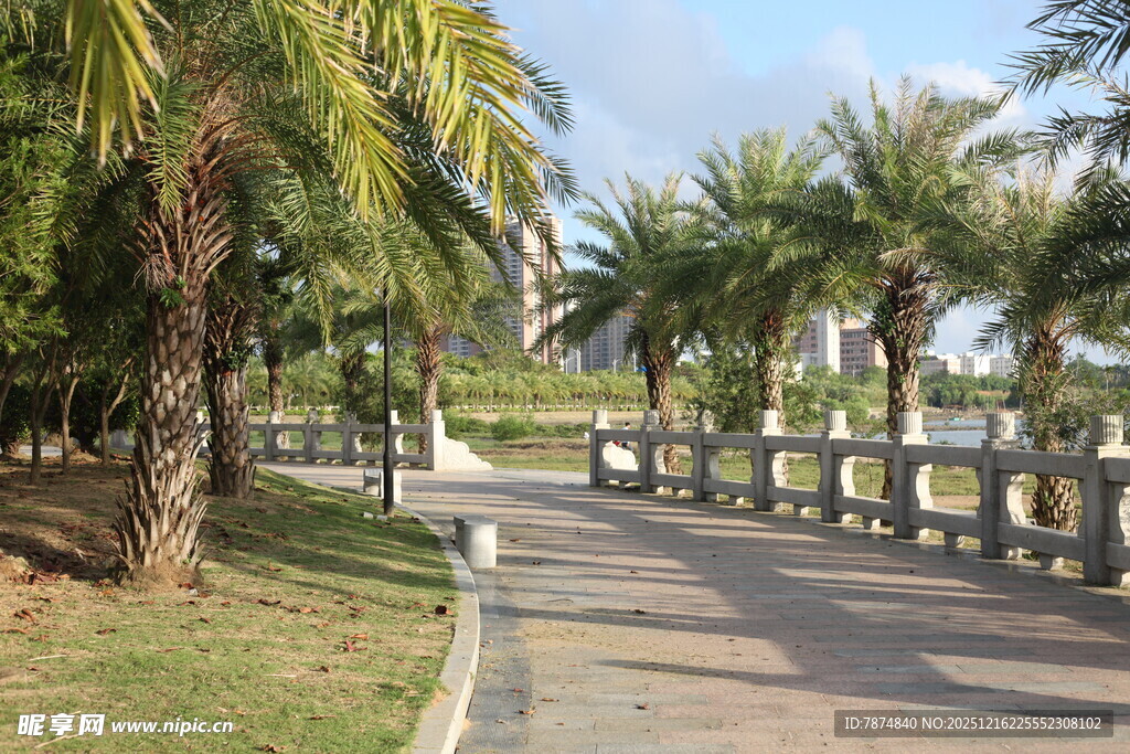 海滨林荫步道风景