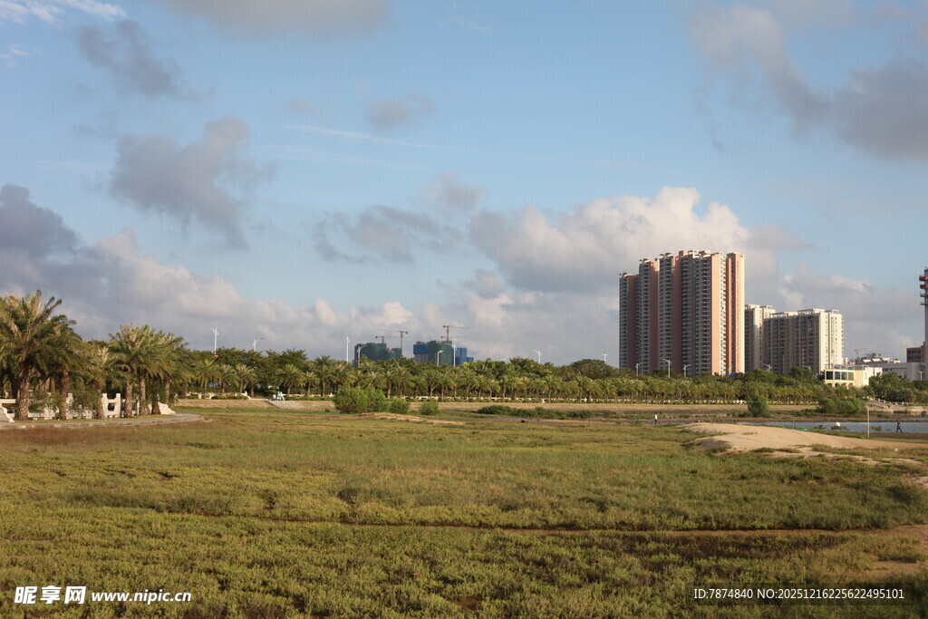 城郊开阔草地与远处高楼