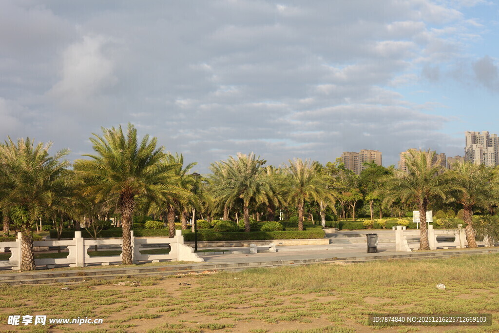 户外草地旁的绿植景观