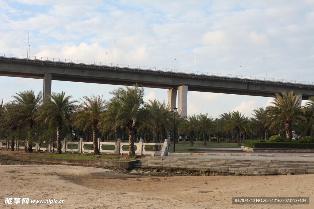 户外高架桥与绿植景观