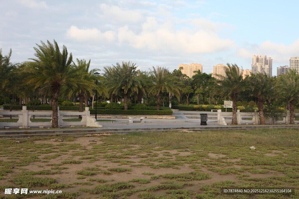 户外开阔草地与树木景观