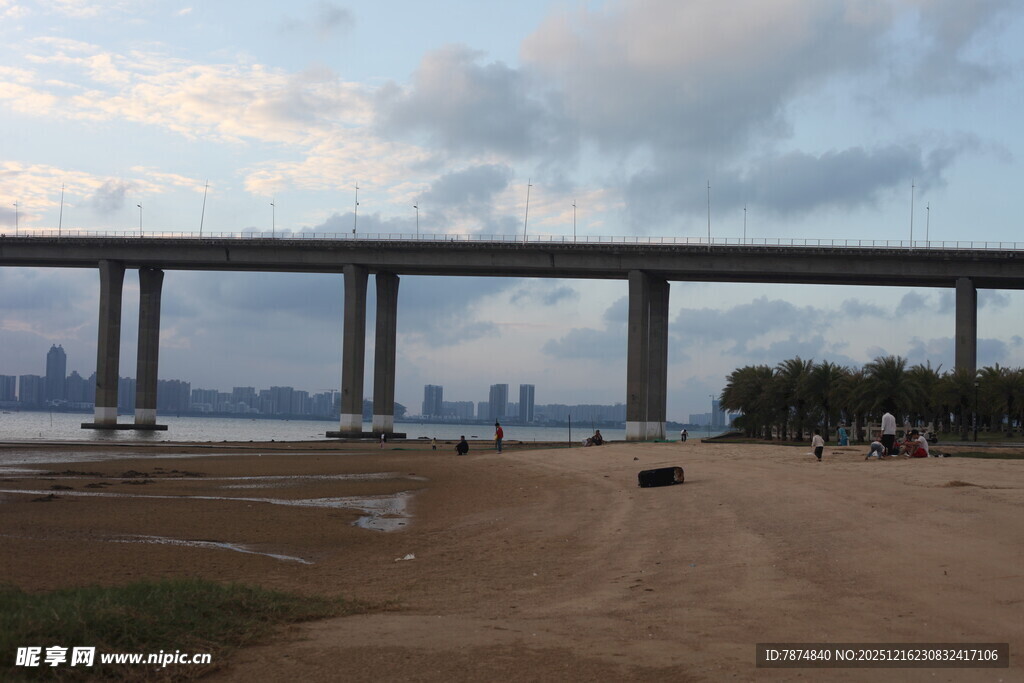 黄昏下的跨江大桥景观