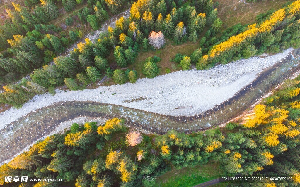 秋日蜿蜒公路穿斑斓树林