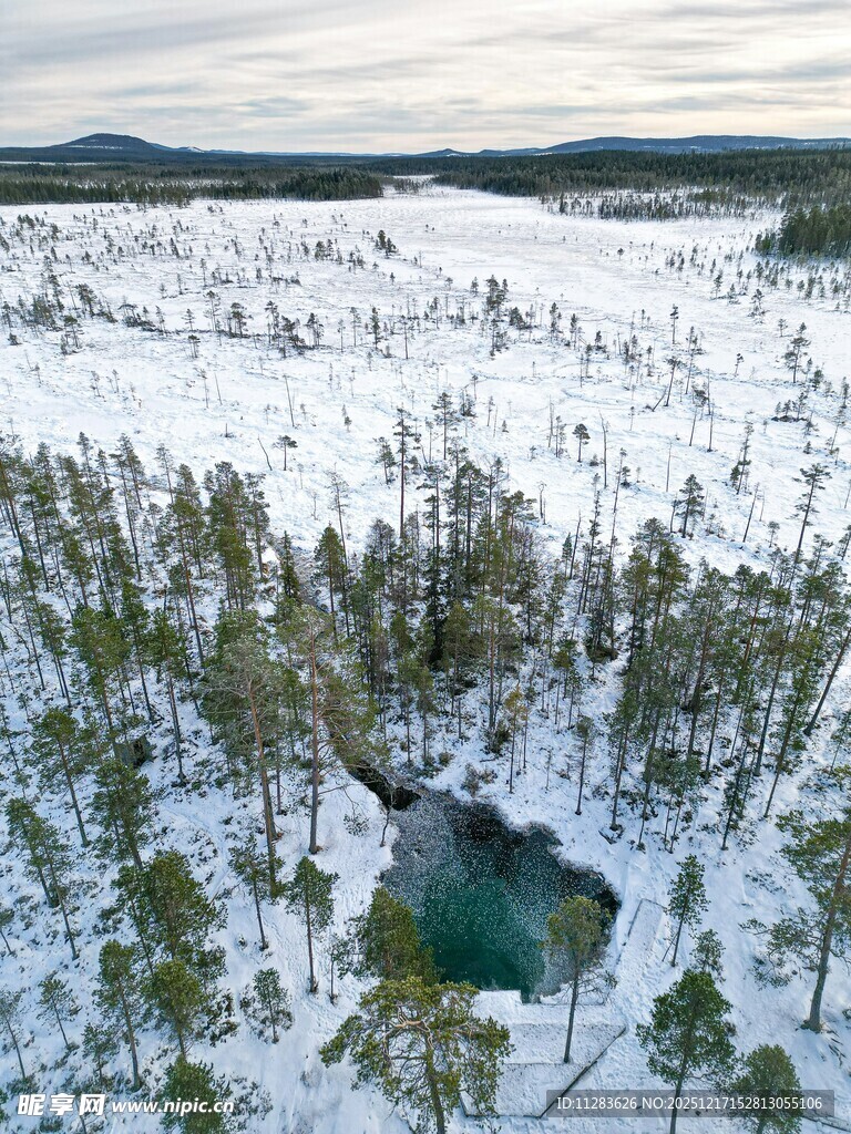 冬日雪林环抱的幽蓝湖泊