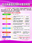 狂犬病暴露处理流程图