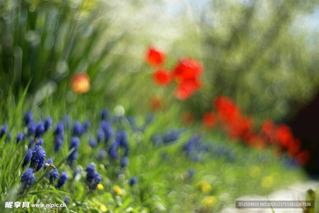 春日烂漫花丛美景