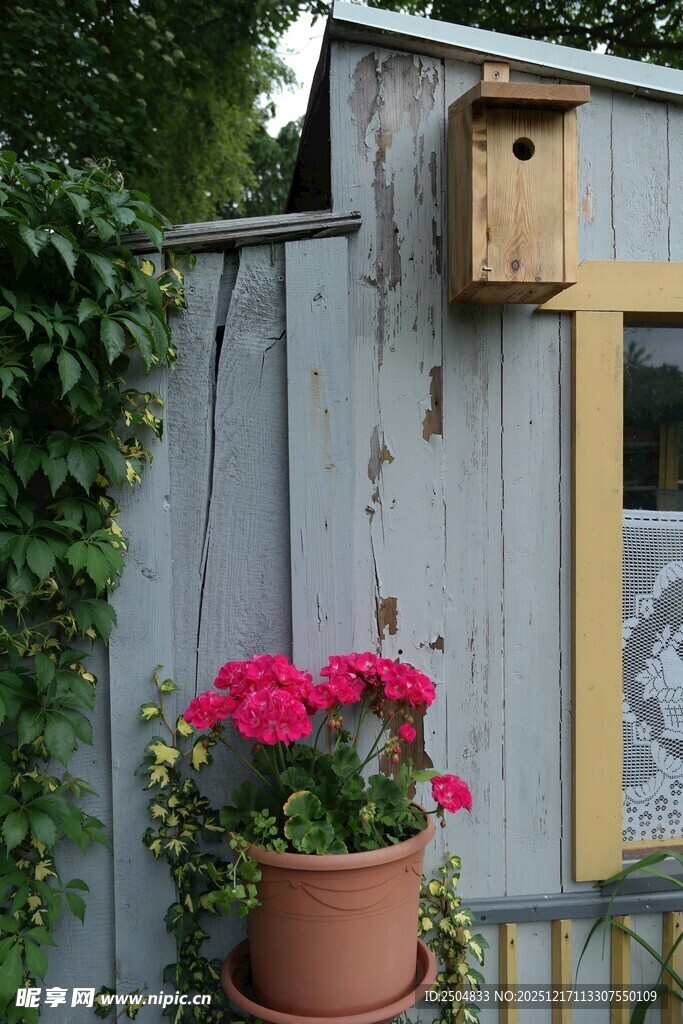 花园一角的盆栽与鸟屋