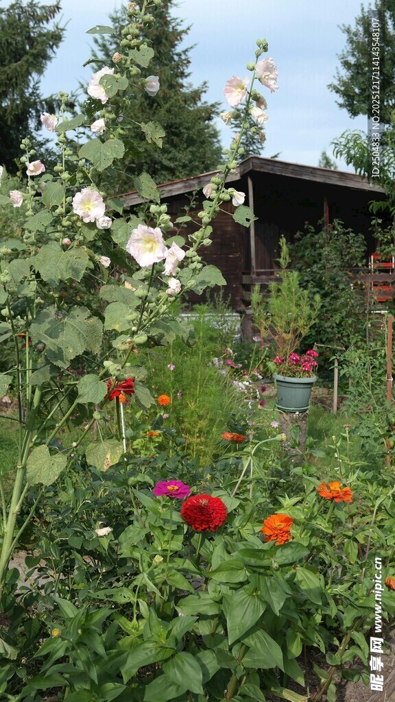 多彩花园中的小屋