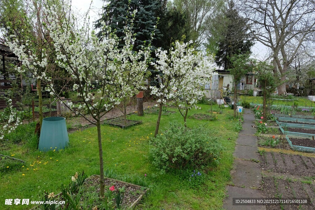 春日繁花盛开的花园小径