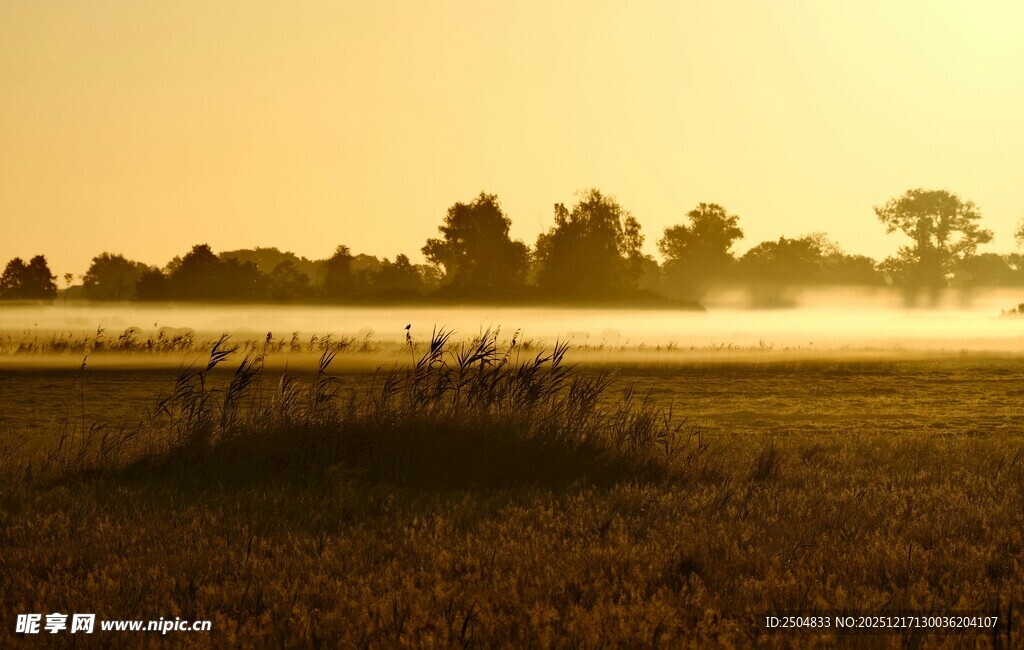 日出时分的田野风光