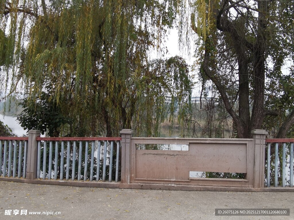 围栏旁的树木景观