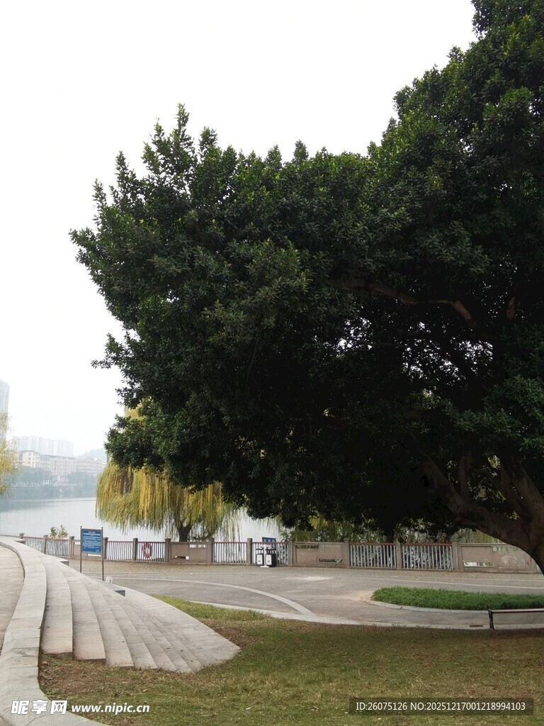 城市公园休闲景观一角