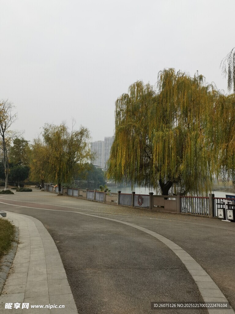 秋日城郊的宁静道路