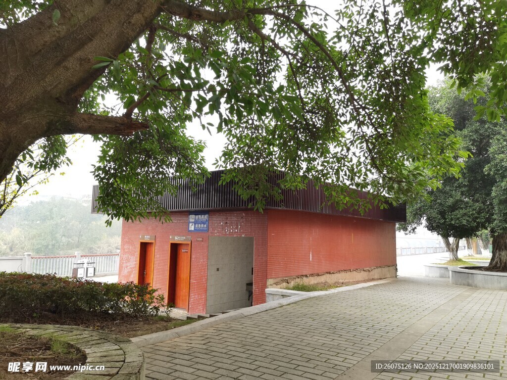 红墙小屋旁的繁茂大树