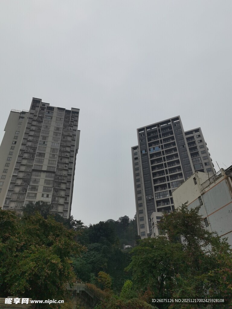 城市中的高楼与绿植景观