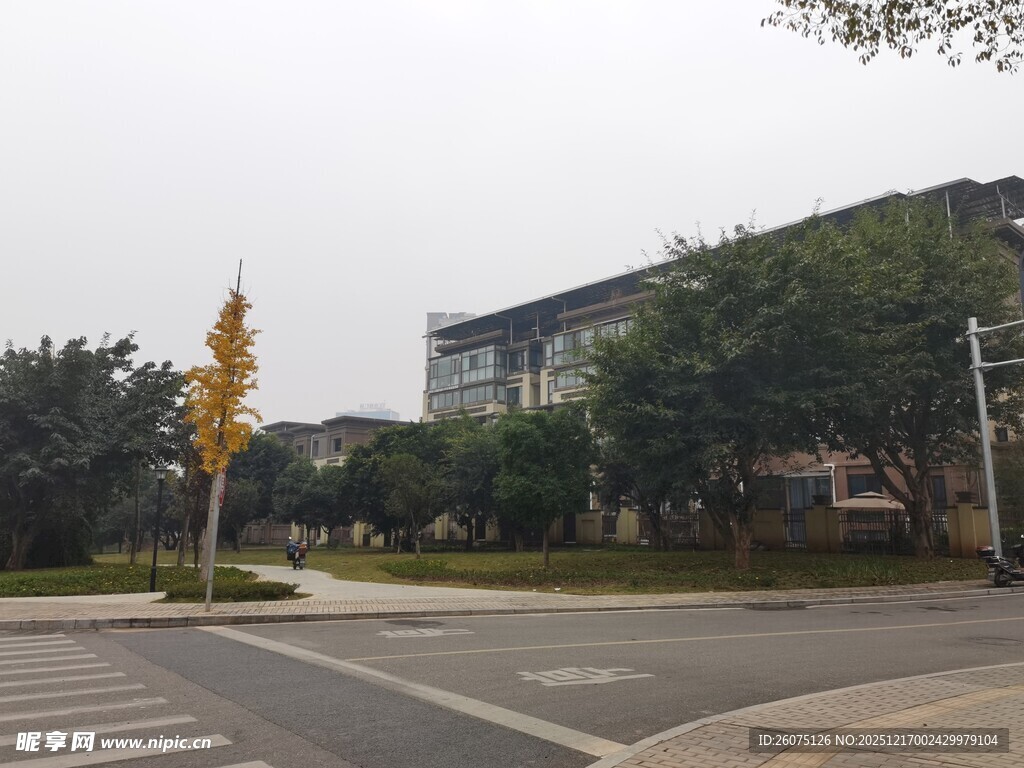 城市街道绿化景观