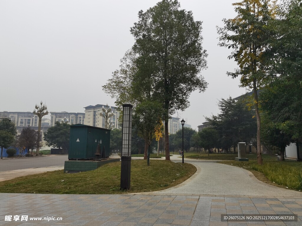 城市中的静谧林荫小道