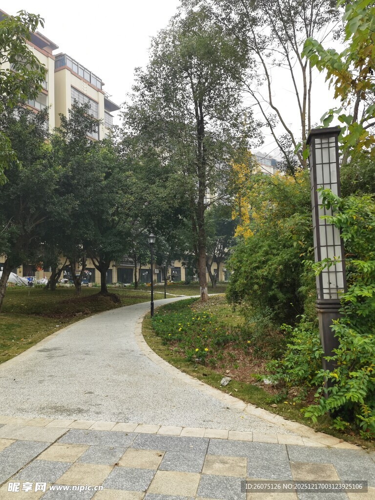 公园幽静小径景观