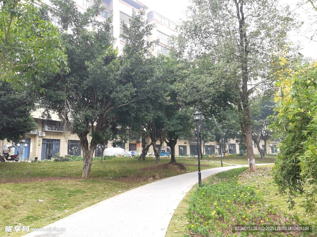 林间漫步小道绿意盎然