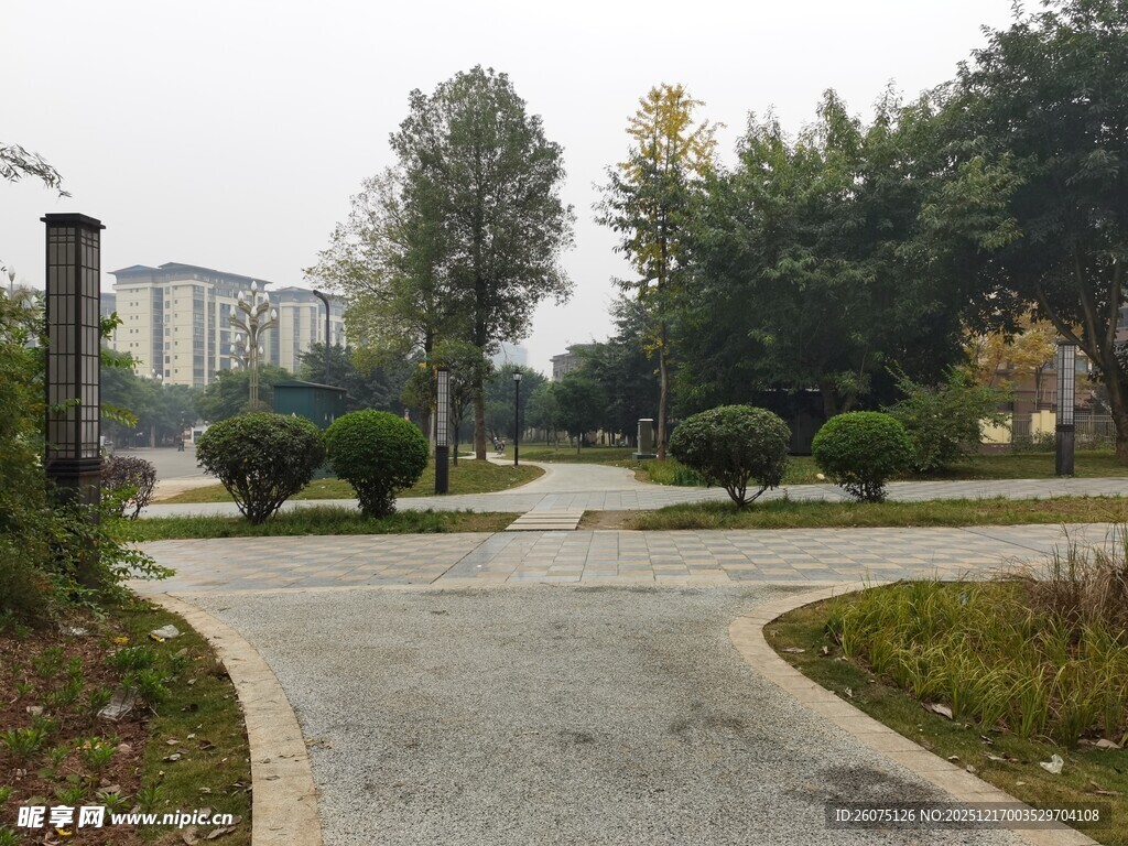 宁静的园区道路景观