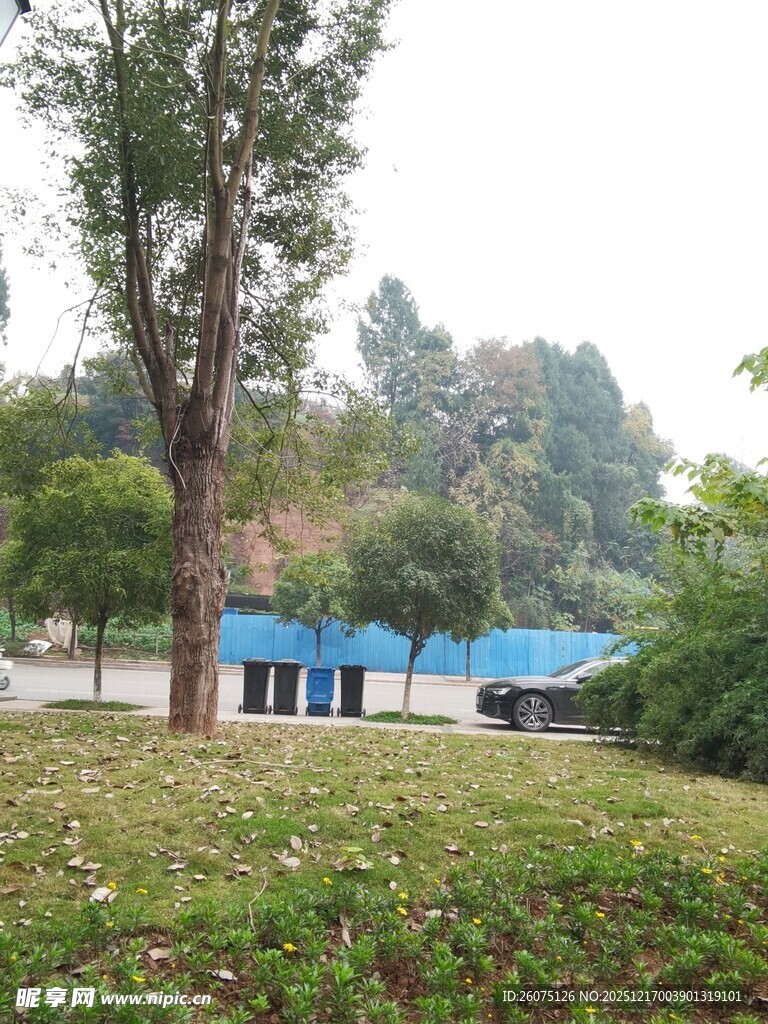 户外树林旁的蓝色小屋