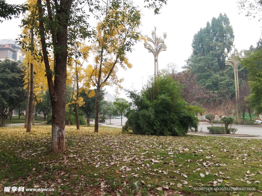 秋日公园静谧景色