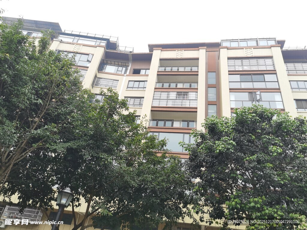 绿树环绕的多层居民楼