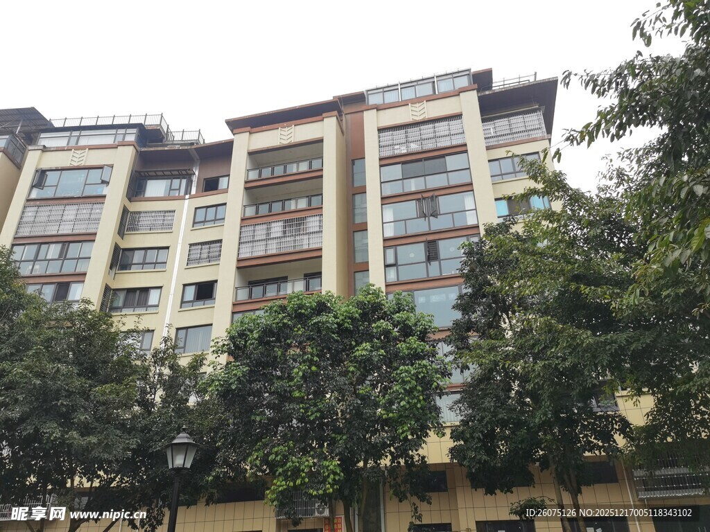 现代高层住宅与绿树景观